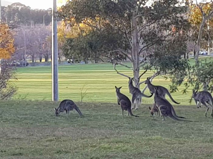 Republika Srbija Ministarstvo spoljnih  poslova Republike Srbije u saradnji sa Udruženjem arhitekata Srbije raspisuje - konkurs za dizajn&ndash;  otvoreni  projektni, jednostepeni, anonimni arhitektonsko-urbanistički  konkurs za kompleks Ambasade Republike